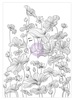 Princess Coloring Book 2 - Prima