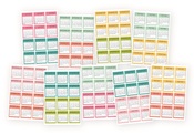 Carpe Diem Monthly Planner Stickers - Simple Stories