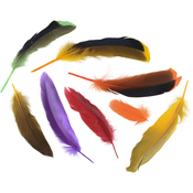 Tropical Dyed Over Natural - Duck Satinettes Feathers .05oz