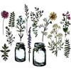 Flower Jar by Tim Holtz Framelits Dies 16PK - Sizzix