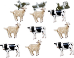Cow & Goat - Eyelet Outlet Shape Brads 12/Pkg