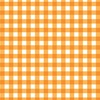 Orange Plaids & Dotty Double-Sided Cardstock - Bella Blvd