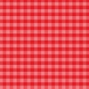 Holly Berry Gingham Paper - Christmas Gingham - Echo Park