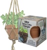 Mini Terra Cotta Pot & Jute Plant Hanger Set