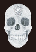 Crystal Skull - Diamond Dotz Diamond Embroidery Facet Art Kit 16.5"X20.5"
