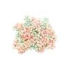 Honey Sweet Flowers - Apricot Honey - Prima