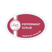 Peppermint Scrub Ink Pad - Catherine Pooler