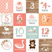 Milestone Cards Paper - Baby Girl - Echo Park