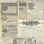 Catalog Paper - Botanical Journal - Bo Bunny
