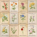 Garden Paper - Botanical Journal - Bo Bunny