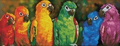 Rainbow Parrots - Diamond Dotz Diamond Embroidery Facet Art Kit 22.44"X16.14"