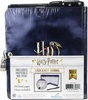 Harry Potter(TM) Hogwarts At Night Invisible Ink Diary