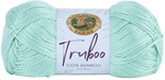Mint - Lion Brand Truboo Yarn