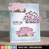 Boxes of Blooms Stamp Set - Catherine Pooler