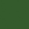 Tan / Dk. Green -Coordinating Solid Sheet - A Lumberjack Christmas - Echo Park
