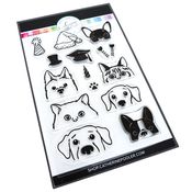 Peeking Pets Stamp Set - Catherine Pooler
