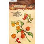 NR. 481 - Studio Light Wonderful Autumn Clear Stamps