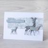 Darling Deer Thinlits Dies by Tim Holtz - Sizzix