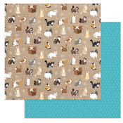 Soft Kitty Paper - Cat Lover - Photoplay