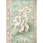 White Orchid Rice Paper A4 - Orchids & Cats - Stamperia