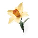 Daffodil Bigz L Die - Sizzix