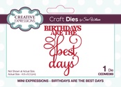 Mini Expressions- Birthdays Are The Best - Creative Expressions Craft Dies By Sue Wilson
