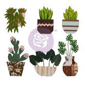Cactus Flowers - Golden Desert Collection - Prima