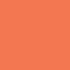 Blue / Orange -Coordinating Solid Paper - I Love School - Echo Park