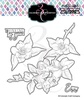 Thinking Of You Magnolias-Big & Bold Metal Die Set
