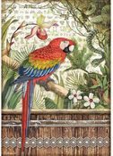 Parrot Rice Paper - Amazonia - Stamperia