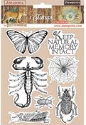 Butterfly Rubber Stamps - Amazonia - Stamperia