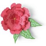 Pop-Up Flower Thinlits Dies - Sizzix