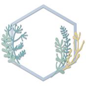 Botanical Frame Thinlits Dies - Sizzix