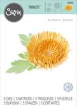 Chrysanthemum Thinlits Dies - Sizzix