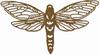 Perspective Moth Thinlits Dies by Tim Holtz - Sizzix