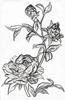 Mini Roses 3-D Embossing Folder by Tim Holtz
