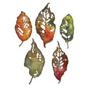 Leaf Fragments Thinlits Dies by Tim Holtz - Sizzix