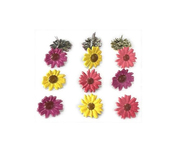 Colored Daisy Shape Brads - Eyelet Outlet