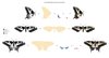 Dovetail Butterflies Stamp Set - Altenew