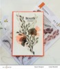 Enchanting Beauty Stamp Set - Altenew