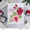 Bitterroot Flower Die Set - Altenew
