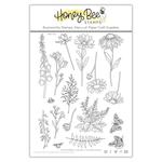 Wildflowers 6x8 Stamp Set - Honey Bee Stamps