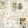 Nature's Wonder Paper - Simple Vintage Country Harvest - Simple Stories