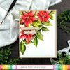 Poinsettia Blooms Combo - Waffle Flower