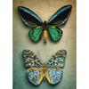 Antique Butterflies - Diamond Dotz Diamond Art Kit 20.3"X14.6"