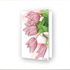 Romantic Tulips - Diamond Dotz Diamond Art Greeting Card Kit 5"X7"