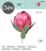 Protea Bigz Die - Sizzix