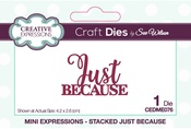 Mini Expressions- Just Because - Creative Expressions Craft Dies By Sue Wilson