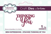 Mini Expressions- Thinking of You - Creative Expressions Craft Dies By Sue Wilson