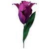 Fringed Tulip Thinlits Dies - Sizzix